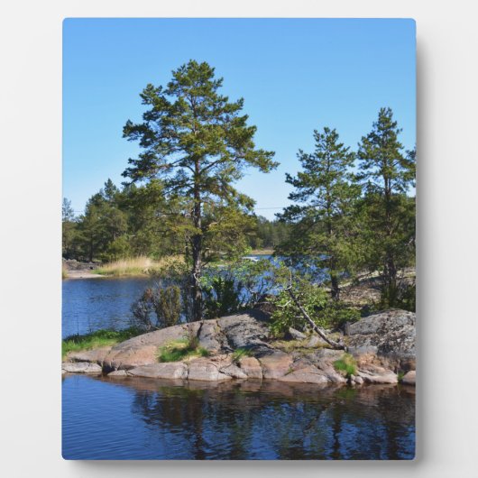 Schwedische Landkarte Fotoplatte (Vorderseite)