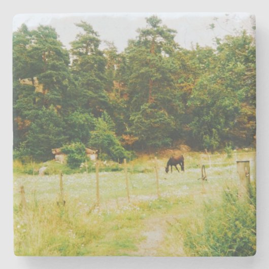 Schwedische Landschaft Steinuntersetzer (Vorderseite)