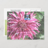 Schwedische Rusks Rezept Postkarte (Vorne/Hinten)