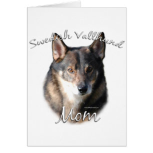 Schwedische Vallhund Mama 2