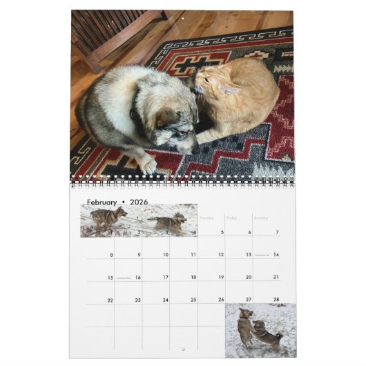 Schwedischer Kalender 2024* (Feb 2026)