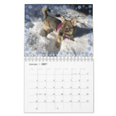 Schwedischer Kalender Vallhund 2020 (Jan 2027)