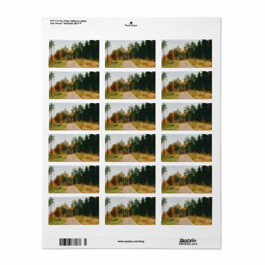 Schwedischer Urwald Adressaufkleber (Vorne)