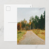 Schwedischer Urwald Feiertagspostkarte (Vorne/Hinten)