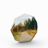 Schwedischer Urwald Fotoblock (Links)