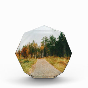 Schwedischer Urwald Fotoblock