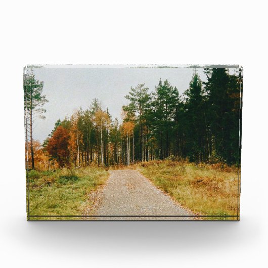 Schwedischer Urwald Fotoblock (Vorderseite)
