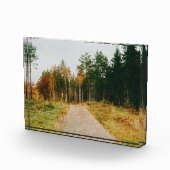 Schwedischer Urwald Fotoblock (Rechts)