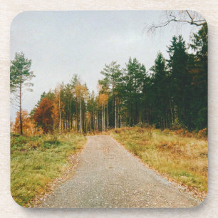 Schwedischer Urwald Getränkeuntersetzer