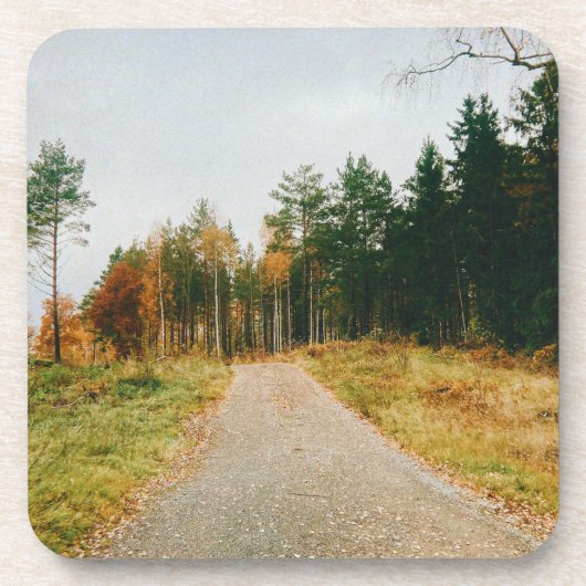 Schwedischer Urwald Getränkeuntersetzer (Vorderseite)