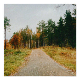 Schwedischer Urwald Poster