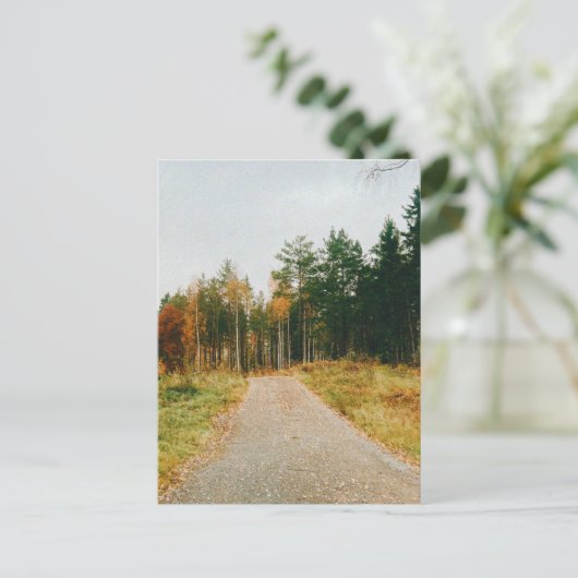 Schwedischer Urwald Postkarte (Stehend Vorderseite)