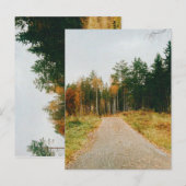 Schwedischer Urwald Postkarte (Vorne/Hinten)