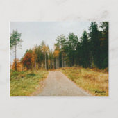Schwedischer Urwald Postkarte (Rückseite)