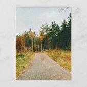 Schwedischer Urwald Postkarte (Vorderseite)