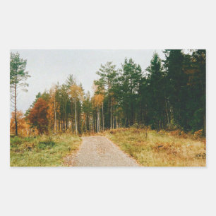 Schwedischer Urwald Rechteckiger Aufkleber