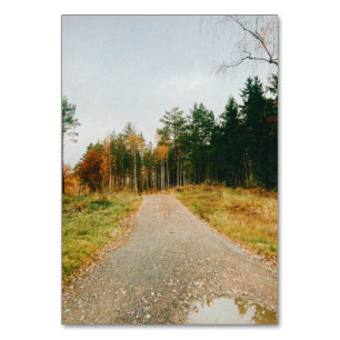 Schwedischer Urwald Tischnummer