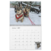 Schwedischer Vallhund-Kalender Kalender (Jan 2027)