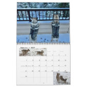 Schwedischer Vallhund-Kalender Kalender (Feb 2027)