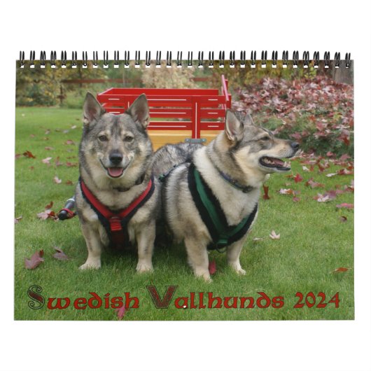 Schwedischer Vallhund-Kalender Kalender (Titelbild)