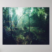 Schwedischer Wald Poster (Vorne)