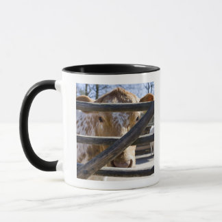 Schwedisches Gebirgsvieh (Skansen) Tasse