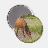 Schwedisches Pferd auf einem Sommerfeld Magnet (Vorderseite/Rückseite)