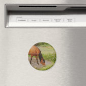 Schwedisches Pferd auf einem Sommerfeld Magnet (In Situ (Geschirrspüler))