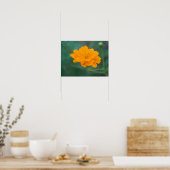 Schwefel Cosmos 01 Poster (Küche)