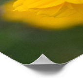 Schwefel Cosmos 02 Poster (Ecke)