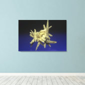 Schwefel (S) auf Celestite, Polen Leinwanddruck (Insitu (Holzboden))