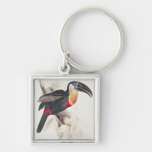 Schwefel und Weiß breasted Toucan, 19. Jahrhunder Schlüsselanhänger