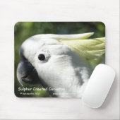 SchwefelCockatoo mit Haube Mousepad (Mit Mouse)