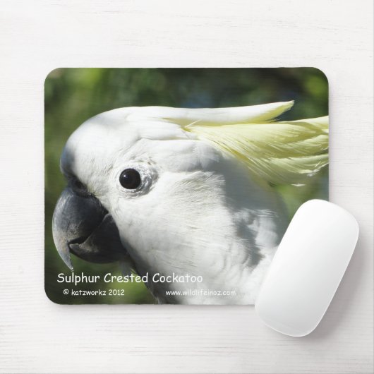 SchwefelCockatoo mit Haube Mousepad (Mit Mouse)