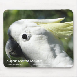 SchwefelCockatoo mit Haube Mousepad