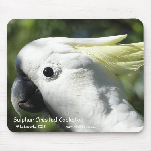 SchwefelCockatoo mit Haube Mousepad (Vorne)