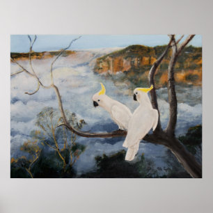 SchwefelCockatoos mit Haube in den blauen Bergen Poster