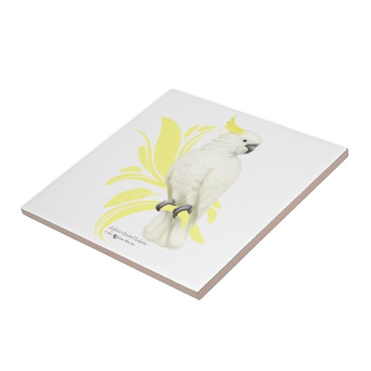 Schwefelgekrechtes Kakadu Fliese (Seite)