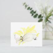 Schwefelgekrechtes Kakadu Postkarte (Stehend Vorderseite)