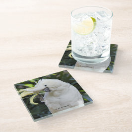 Schwefelgezauberte Kakatoowellen beim Fotografen Glasuntersetzer