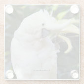 Schwefelgezauberte Kakatoowellen beim Fotografen Glasuntersetzer (Rückseite)