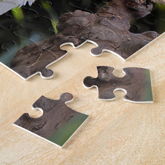 Schwefelgezauberte Kakatoowellen beim Fotografen Puzzle (Seite)