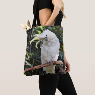 Schwefelgezauberte Kakatoowellen beim Fotografen Tasche