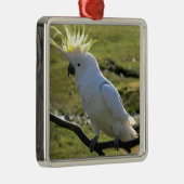 Schwefelkakadu in Australien Ornament Aus Metall (Rechts)