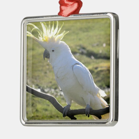 Schwefelkakadu in Australien Ornament Aus Metall (Links)