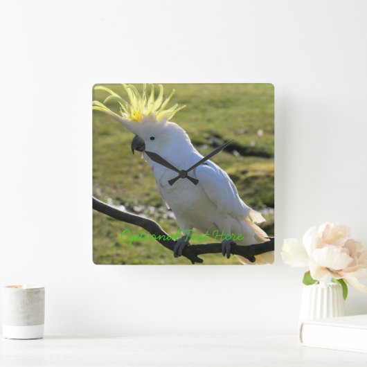 Schwefelkakadu in Australien Quadratische Wanduhr (Zuhause)