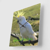 Schwefelkakadu in Australien Quadratische Wanduhr (Winkel)