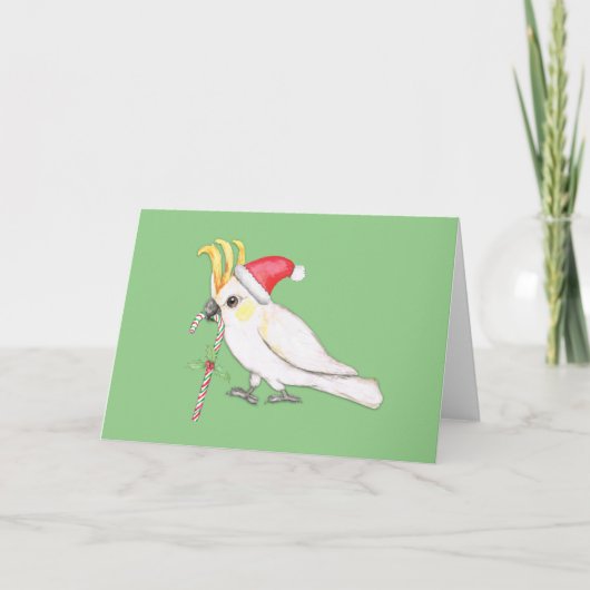 Schwefelkalkküste Weihnachtsgeschmack Feiertagskarte (Vorderseite)