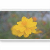 Schwefelkosmos 01 aufkleber (Vorderseite)