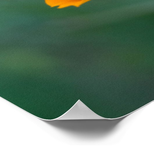 Schwefelkosmos 01 poster (Ecke)